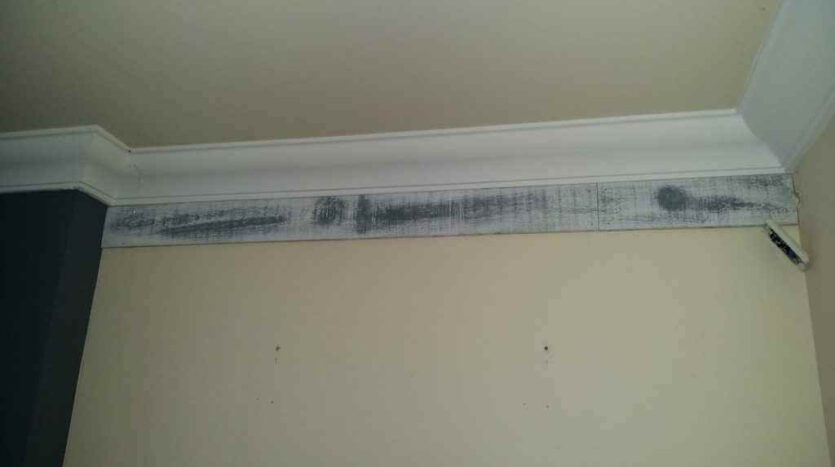 applying planks to the wall with nailgun