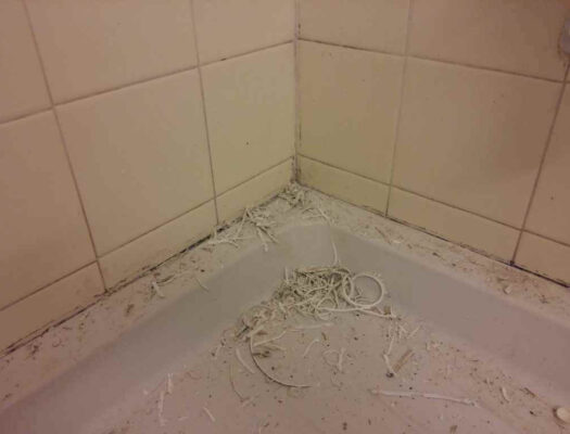 bathroom before reno 1 1