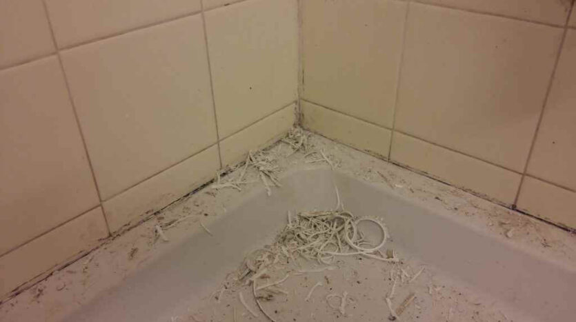 bathroom before reno 1 1
