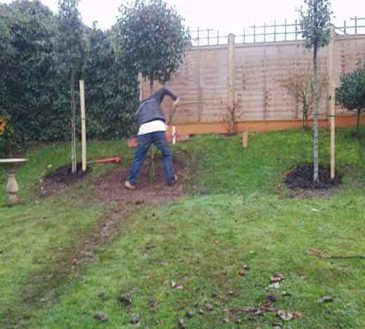 first red robin planted
