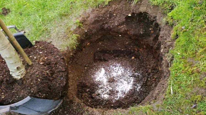 prepared tree pit with mycorrhizal fungi