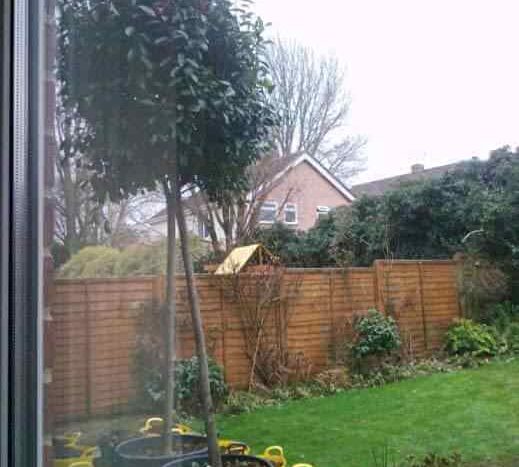 trees on patio surounded by trugs of dug out earth