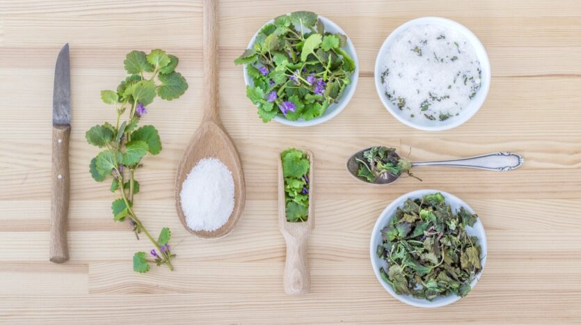 kitchen herbs
