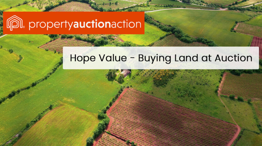 hope value property auction