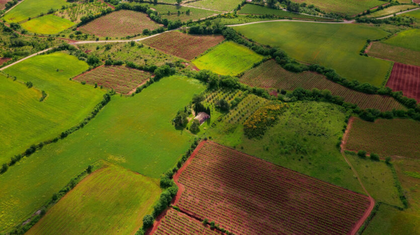 land